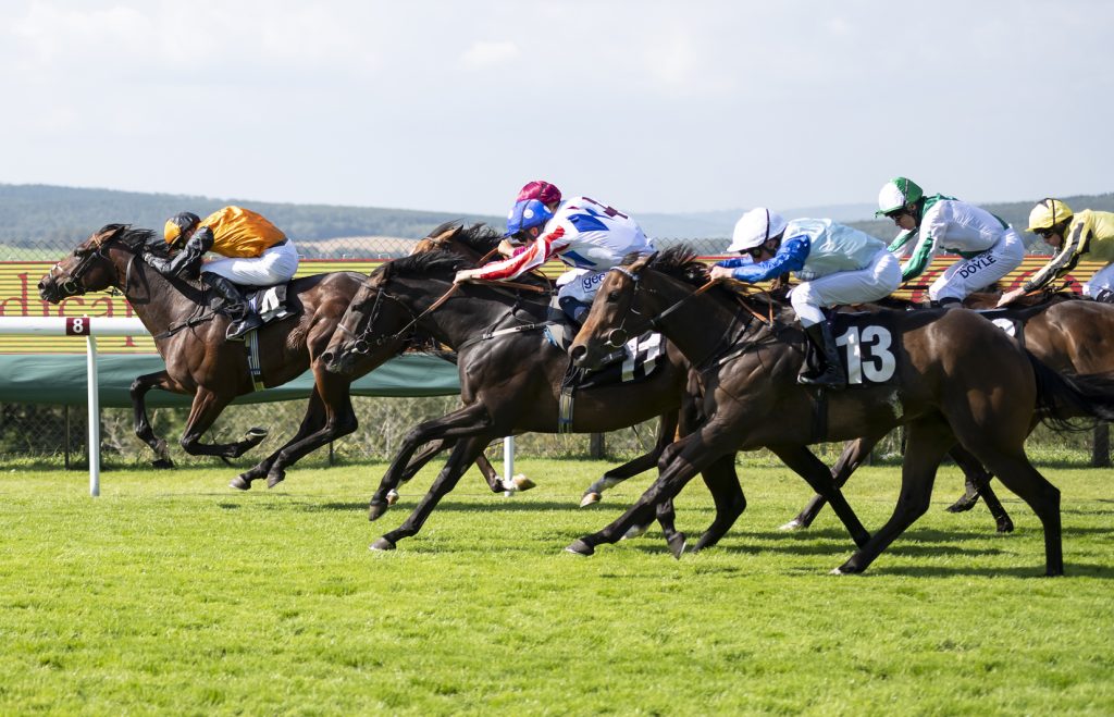 Photo by Liz Finlayson/Vervate goodwood festival 2021 used with permission from Goodwood 